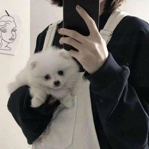 欧美sm刑奴鞭打屁股视频