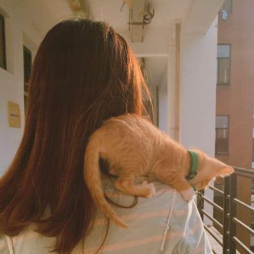 狂拽酷炫的稱號